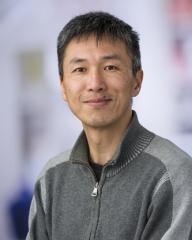 Youyi Fong
