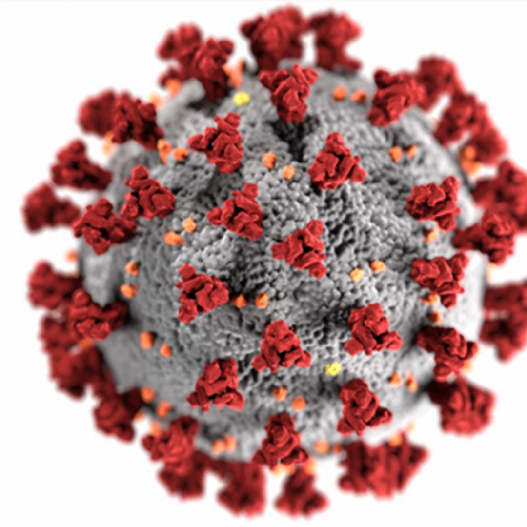 Microscopic view of coronavirus