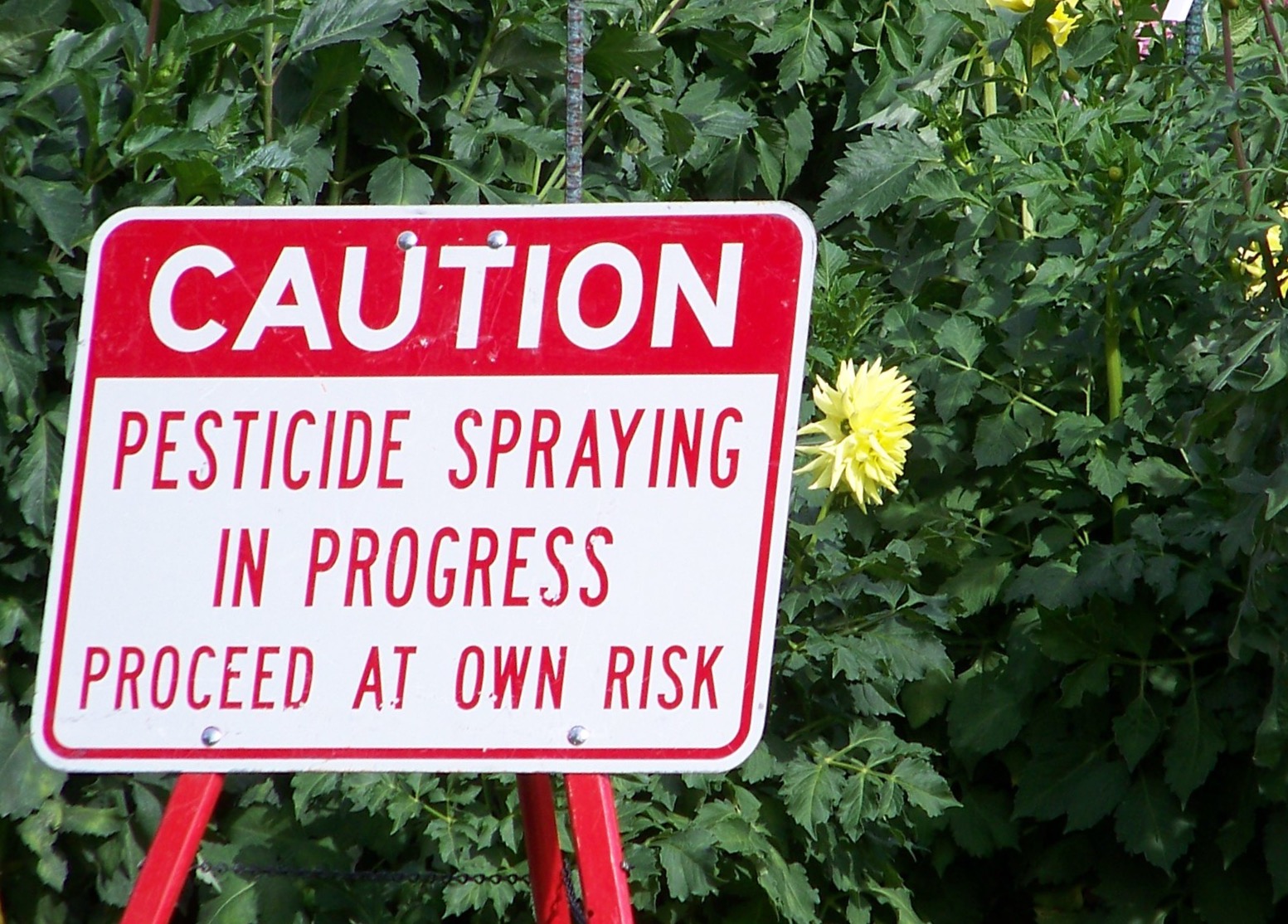 Sign that says: Caution. Pesticide spraying in progress. Proceed at your own risk.