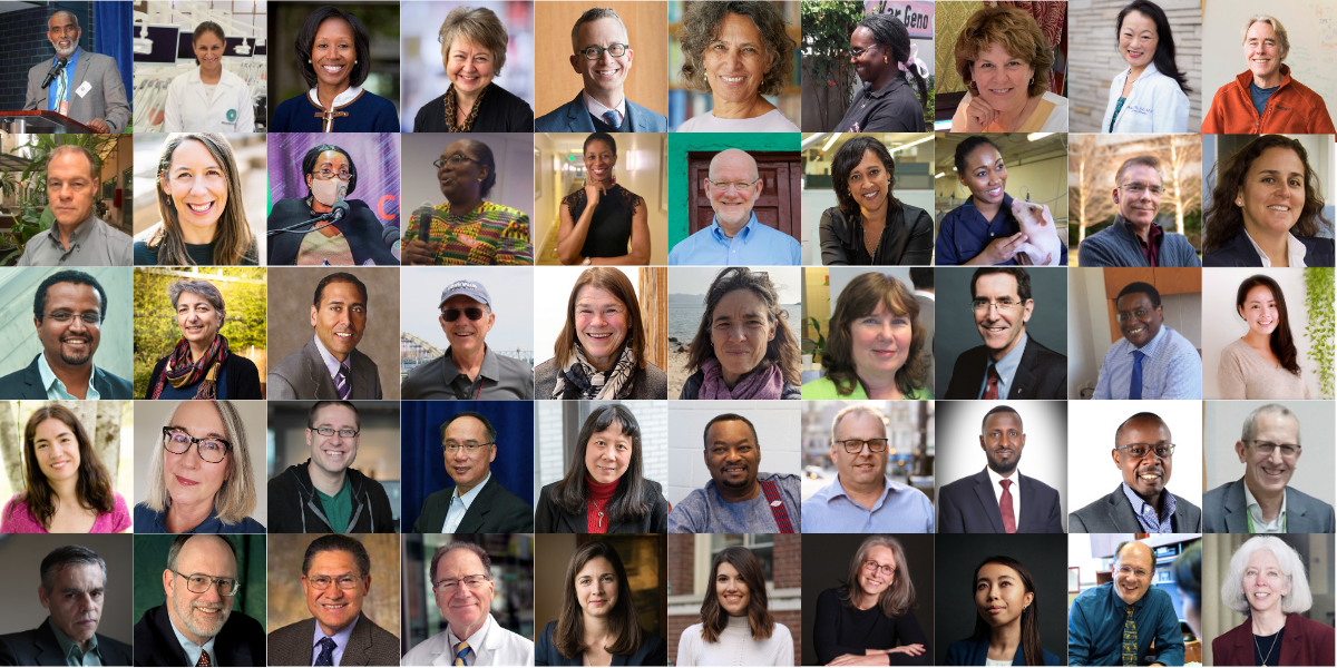 Collage of 50 Changemakers headshot photos