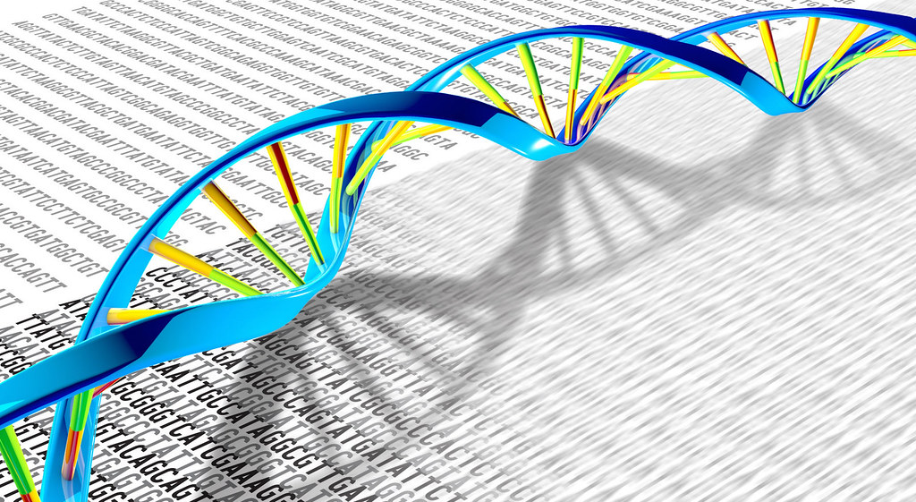 Image of double helix and base pairs