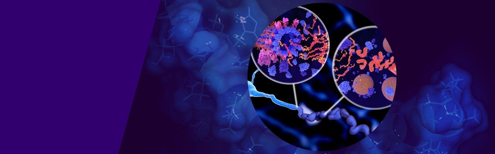 Micro view of alzheimer's brain activity