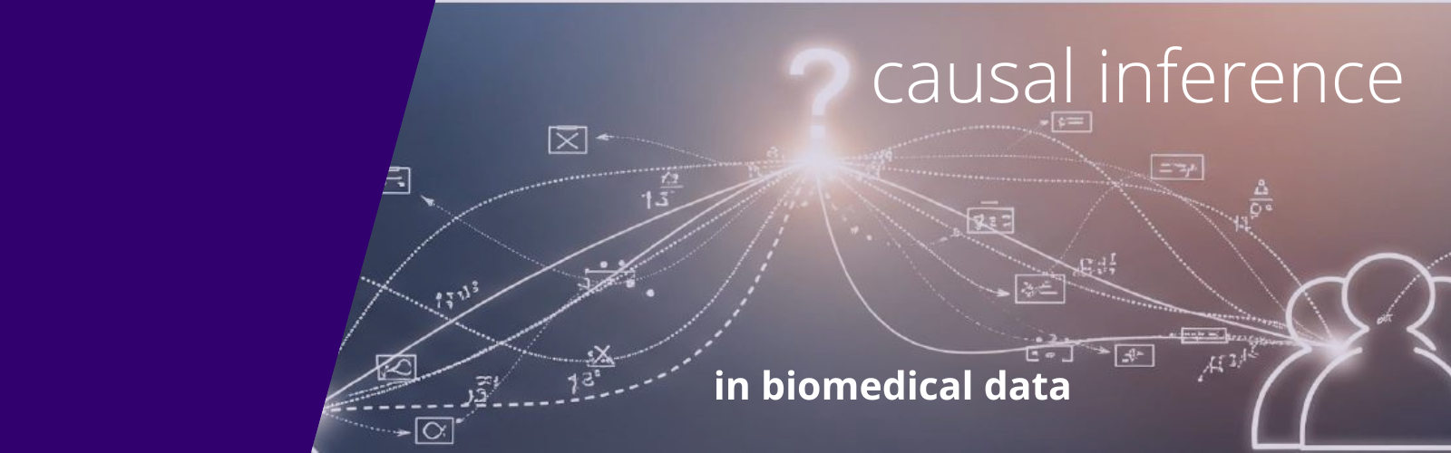 Illustration depicting causal inference with a question mark in the center with solid and dotted lines stretching out to point to data, figures, and drawing representing humans. Text on image reads causal inference in biomedical data.