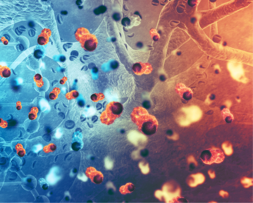 Blue and red shaded image depicting cancer cells at a microscopic level