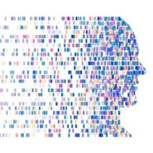 Graphic of DNA plots in shape of human head