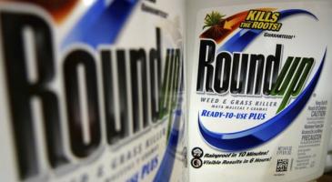 Bottles of Roundup weed and grass killer