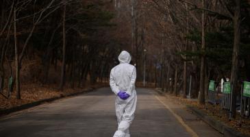 Photo of healthcare worker in protective gear staring down an empty tree-lined road, back to the camera