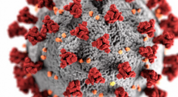Micro view of coronavirus 