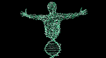 Graphic of DNA strand transitioning into human figure