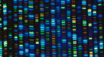 DNA sequencer output closeup of screen