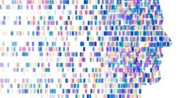 Graphic of DNA plots in shape of human head