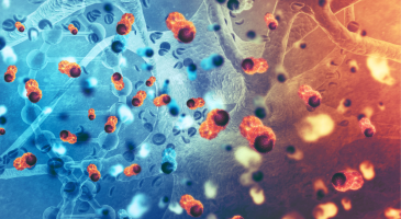 Blue and red shaded image depicting cancer cells at a microscopic level