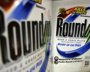 Bottles of Roundup weed and grass killer