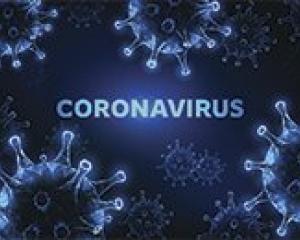 Word "coronavirus" written across graphic of virus spores