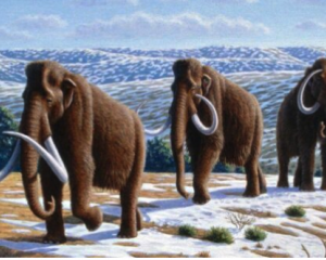 Painting of woolly mammoth