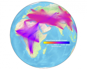 Global visualization of inferred human ancestral lineages