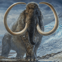 Art depicting woolly mammoth